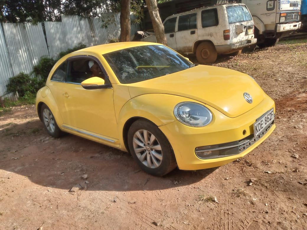 Volkswagen Beetle image 1