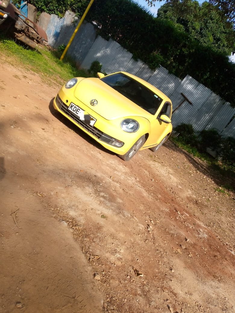 Volkswagen Beetle image 2