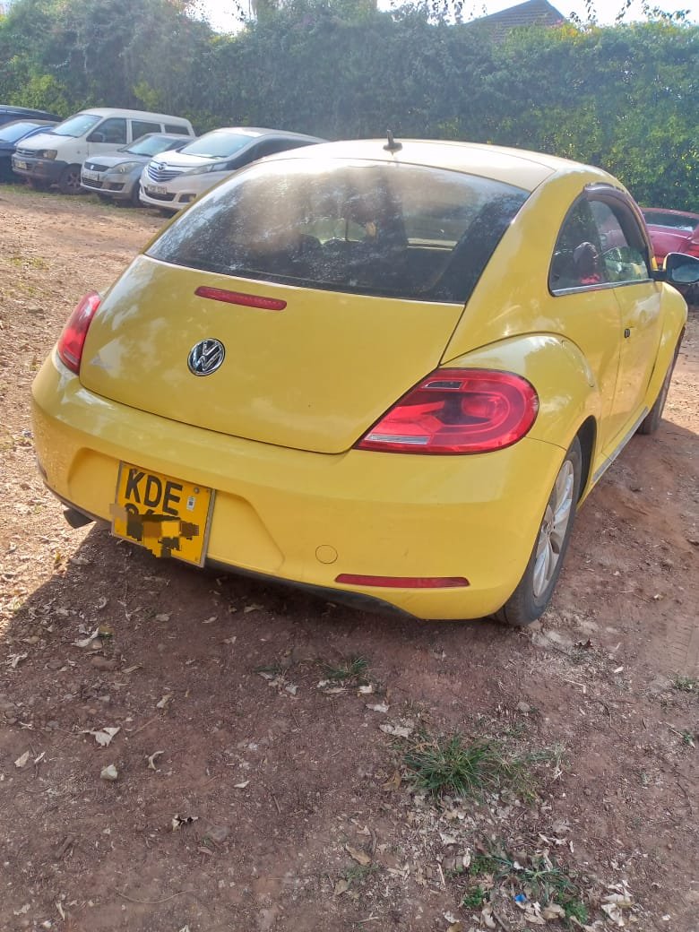 Volkswagen Beetle image 3